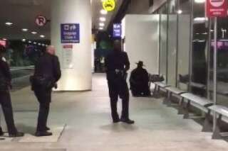 Un Zorro crée la panique à l'aéroport de Los Angeles