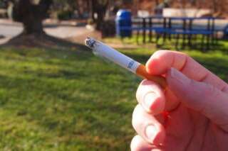 Des espaces non-fumeurs dans les jardins publics? Anne Hidalgo va l'expérimenter