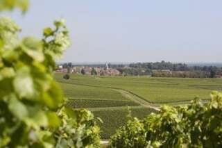 Les vignerons de Buxy, la Bourgogne à petit prix