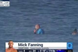 VIDÉO. Le surfeur Mick Fanning attaqué par un requin en pleine compétition en Afrique du Sud