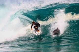 Ce dauphin, invité surprise d'une session de surf