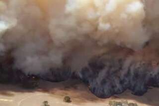 VIDÉO. Des incendies par centaines ravagent le sud de l'Australie