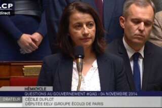 VIDEO - Rémi Fraisse: Cécile Duflot impose une minute de silence avant de poser une question au gouvernement