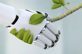 Des plantes-robots pour demain