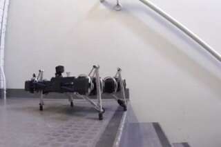 Ghost Minotaur, le petit robot de Ghost Robotics qui sait ouvrir les portes et escalader des grillages