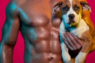 PHOTOS. Un refuge pour animaux sort un calendrier avec des hommes torse nu et des chiens