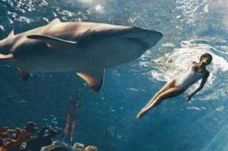 PHOTOS. Rihanna se jette dans un bassin rempli de requins pour un shooting