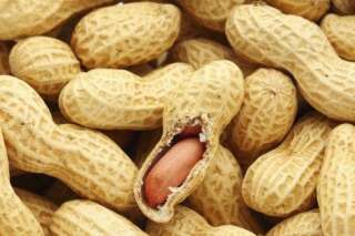 Allergie: faire manger de l'arachide aux nourrissons pourrait permettre de les réduire