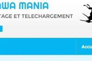 Le créateur de Wawa Mania, un site de téléchargement illégal, condamné à verser 15 millions d'euros de dommages et intérêts