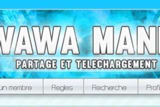 Wawa Mania: Dimitri Mader, le créateur du site pirate français, condamné à un an de prison ferme