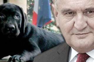 Voeux 2015 : Raffarin donne un conseil à Hollande pour dresser son chien, Philae
