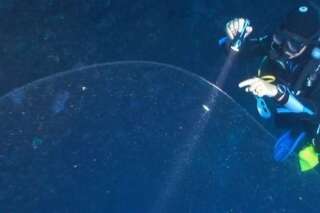 VIDÉO. Des plongeurs ont découvert une étrange sphère gélatineuse au large de la Turquie