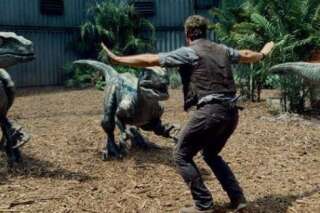 PHOTOS. Jurassic World : des dresseurs de zoos parodient la scène avec Chris Pratt