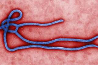 Ebola, un virus mystérieux qui fait peur