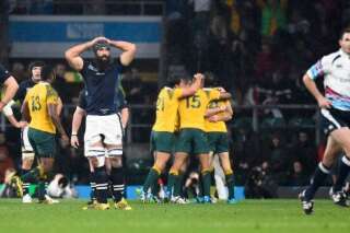 La World Rugby reconnaît l'erreur de l'arbitre qui aurait pu changer le résultat d'Australie-Écosse