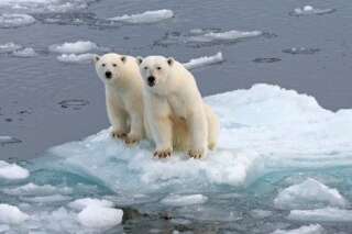 Classes de glace: ensemble avec nos enfants, préservons la planète