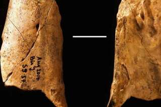La découverte de cet outil préhistorique nous rapproche de l'homme de néandertal
