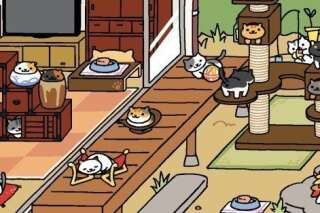 Neko Atsume, le jeu mobile à base de chats mignons qui est en train de rendre tout le monde fou