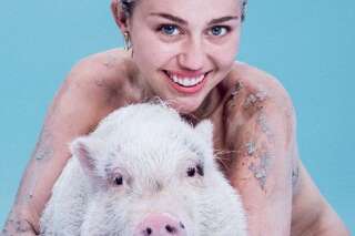 PHOTOS. Miley Cyrus nue avec sa truie pour Paper Magazine