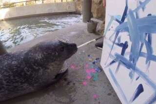 Un zoo vend aux enchères des tableaux peints par ses animaux