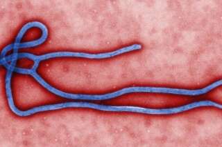 Ebola en Afrique: le repli sur soi comme seul remède
