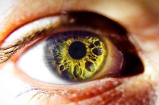 Redonner la vue aux aveugles : des chercheurs ont trouvé un moyen de faire repousser la cornée