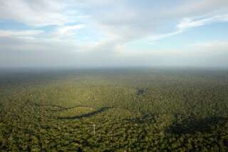 Cette expédition du CNRS en Amazonie fait passer Koh Lanta pour une promenade de santé