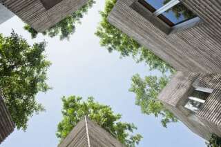 PHOTOS. Des arbres sur des maison écologiques à Ho-Chi-Minh-Ville au Vietnam