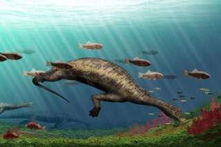 Atopodentatus, le plus vieux reptile marin herbivore, avait une tête en forme d'aspirateur