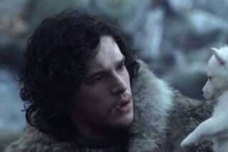 Game Of Thrones: la série responsable de l'augmentation du nombre d'abandons de huskies?