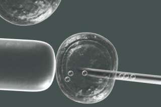 Des cellules souches embryonnaires humaines créées par clonage
