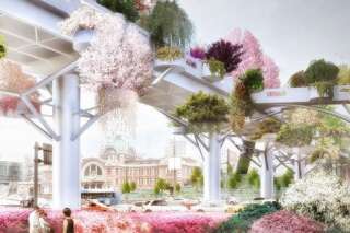 PHOTOS. Un jardin suspendu au cœur de Séoul pour transformer une autoroute abandonnée