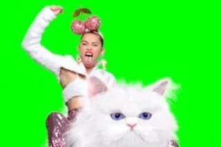 VIDÉO. Miley Cyrus chevauche un grumpy cat géant pour promouvoir les MTV Video Music Award 2015