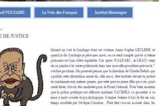 Élections départementales 2015 : un candidat soutenu par l'UMP épinglé pour avoir partagé une caricature de Christiane Taubira en singe