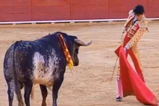 Un torero meurt après un coup de corne en pleine corrida en Espagne