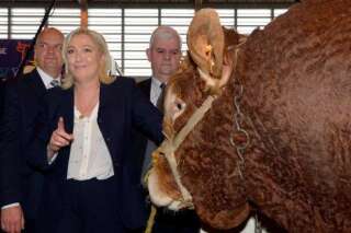 Pourquoi Marine Le Pen arrive au salon de l'Agriculture en position de force