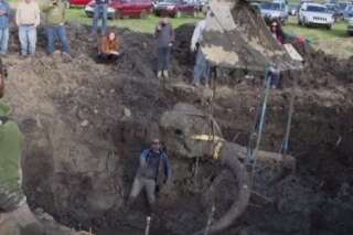 VIDÉO. Un squelette quasi-complet de Mammouth découvert aux États-Unis