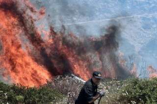 PHOTOS. Les alentours d'Athènes ravagés par des incendies de forêt