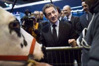 Plan d'aide aux agriculteurs: Sarkozy le juge 