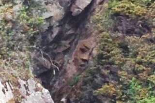 PHOTO. Nature : un homme a découvert ce drôle de visage dans la montagne