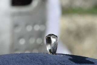 VIDÉO. L'anneau de Jeanne d'Arc présenté en grande pompe au parc du Puy du fou