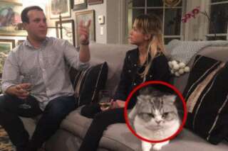 PHOTO. Le chat de Taylor Swift ne s'est vraiment pas amusé pendant cette soirée entre amis