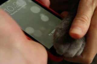 VIDÉO. Touch ID: les chats peuvent aussi utiliser le capteur d'empreintes de l'iPhone 5s