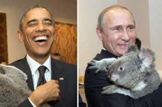 PHOTOS. Au G20, Obama et Poutine posent chacun avec... un koala