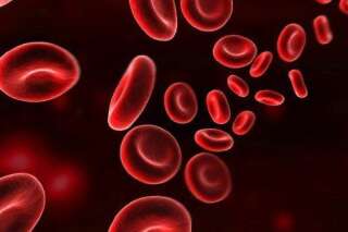 Du sang artificiel fabriqué en usine coulera peut-être bientôt dans vos veines