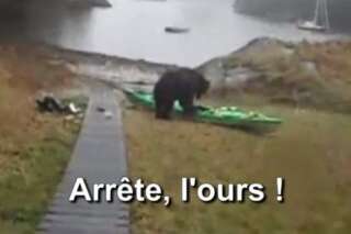 VIDÉO. Avec cette vidéo, une kayakiste face à un ours a réussi à agacer les internautes