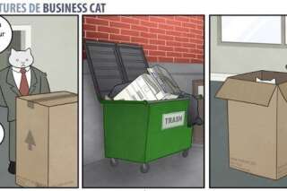 Business Cat: la bande dessinée qui raconte les aventures d'un patron chat