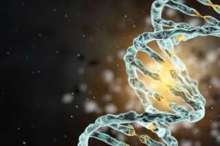 Remodeler la santé humaine et transformer nos vies grâce à l'édition du génome