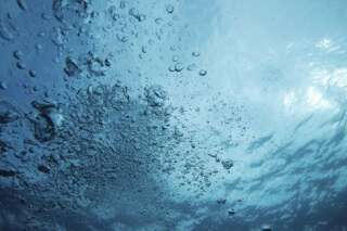 Dans les océans, la vie est apparue spontanément selon une équipe de chercheurs anglais