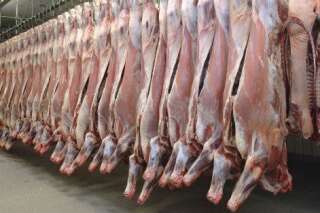 Abattage des animaux: un ancien cadre dénonce les dérives des pratiques du secteur de la viande
